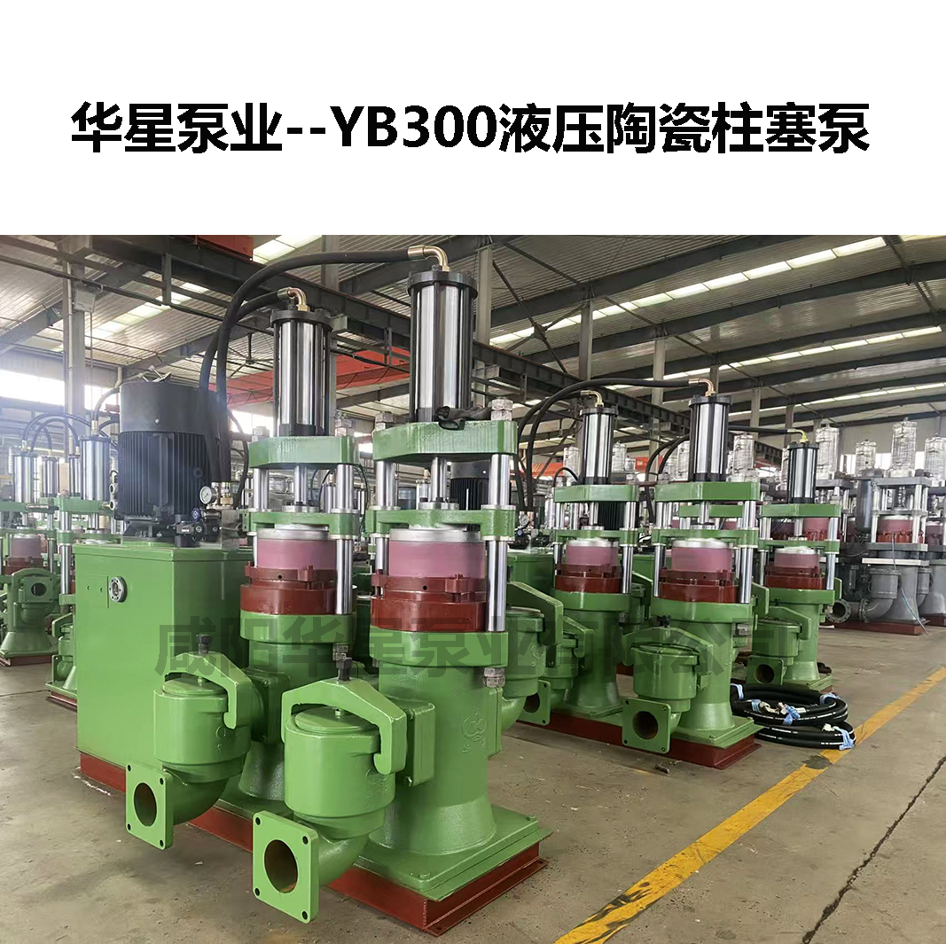 YB300液壓陶瓷柱塞泵-03 YB300液壓陶瓷柱塞泵-03
