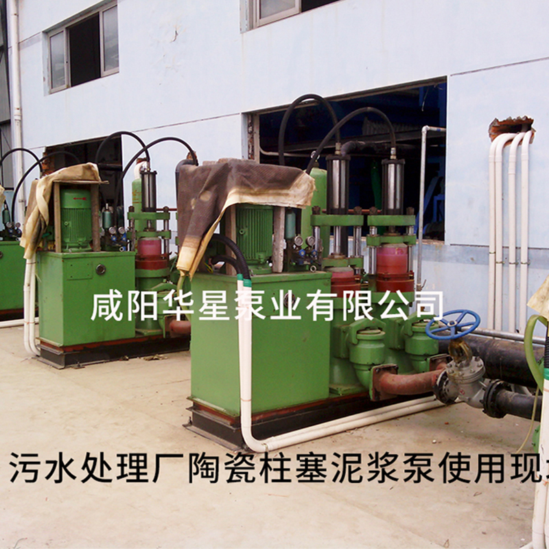 污水處理廠陶瓷柱塞泥漿泵使用現場