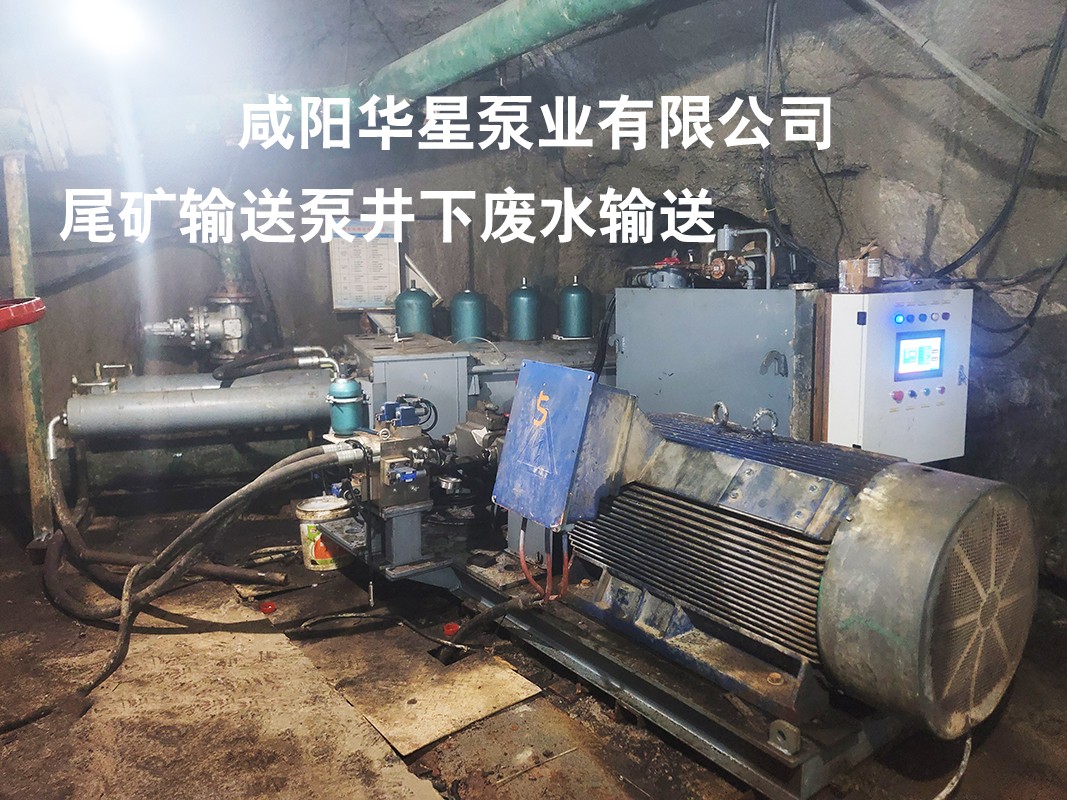 尾礦輸送泵3
