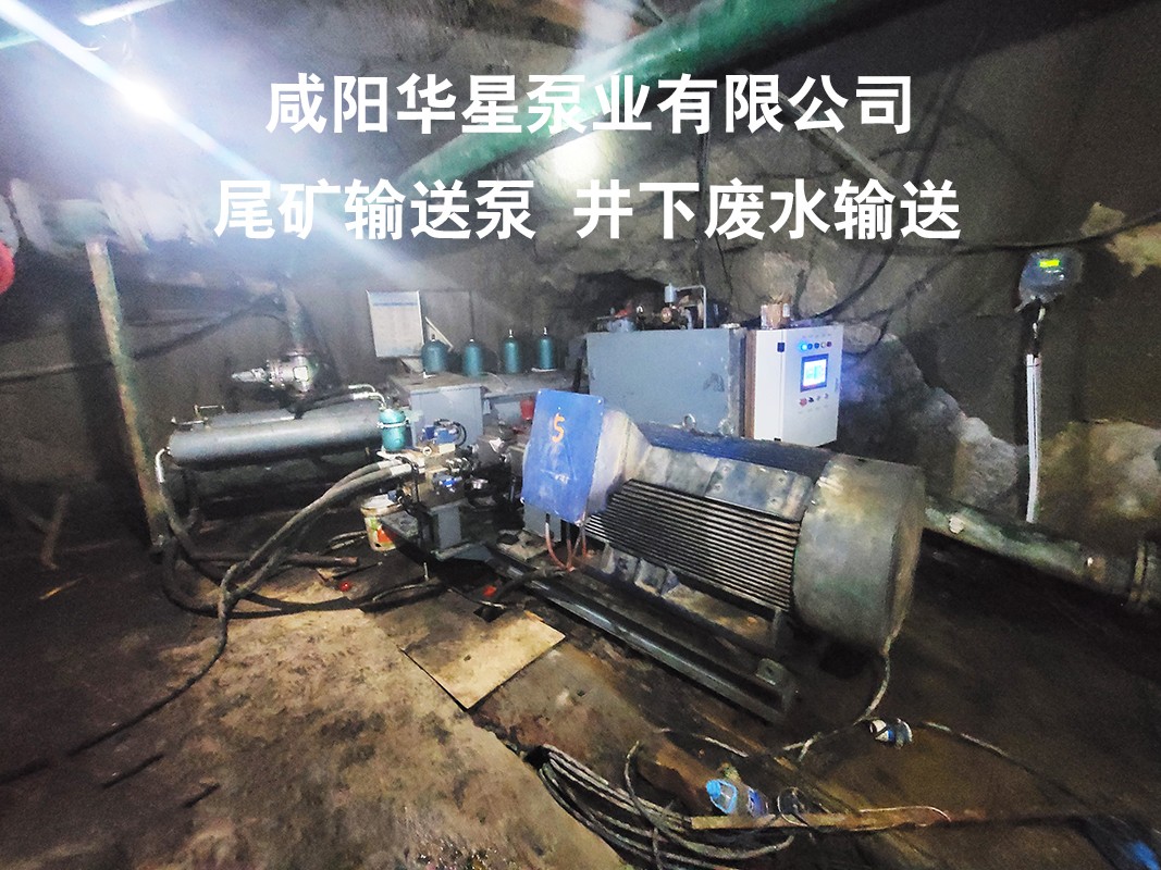 尾礦輸送泵4