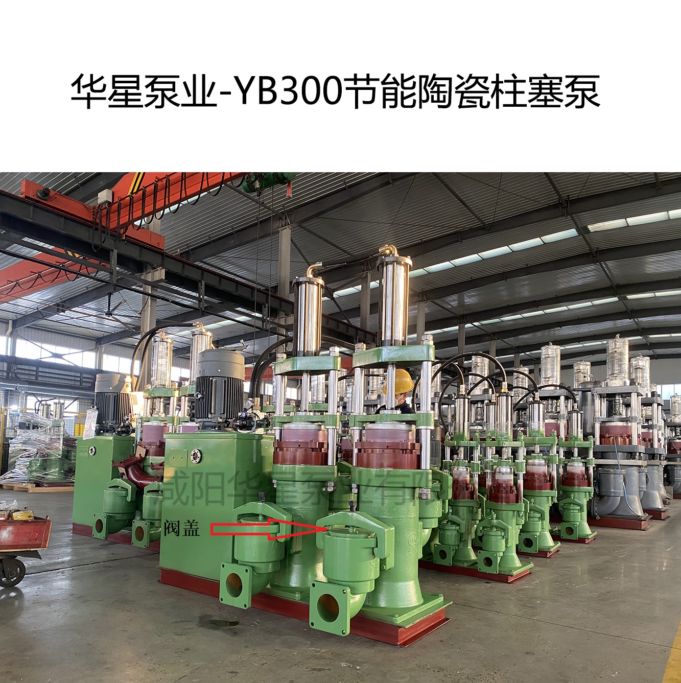 華星泵業-YB300節能陶瓷柱塞泵-03